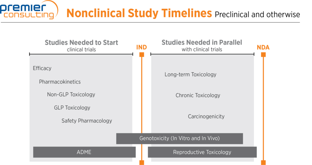 In Vitro vs In Vivo Preclinical Studies